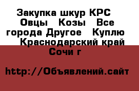 Закупка шкур КРС , Овцы , Козы - Все города Другое » Куплю   . Краснодарский край,Сочи г.